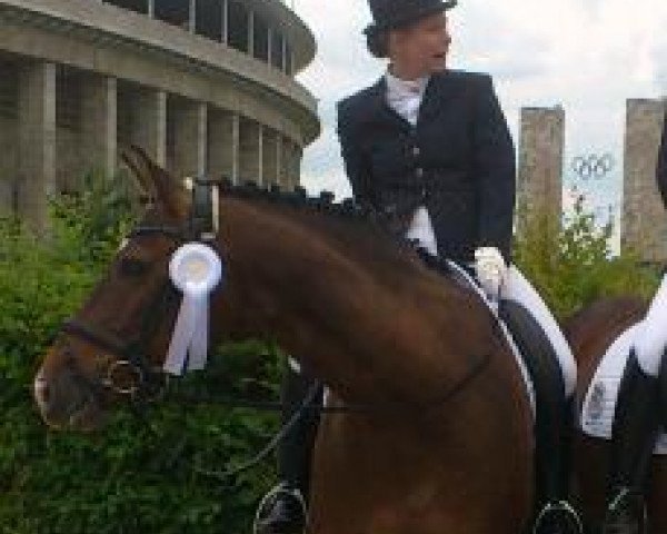 dressage horse Al Pagino (Westphalian, 2002, from Akribori)