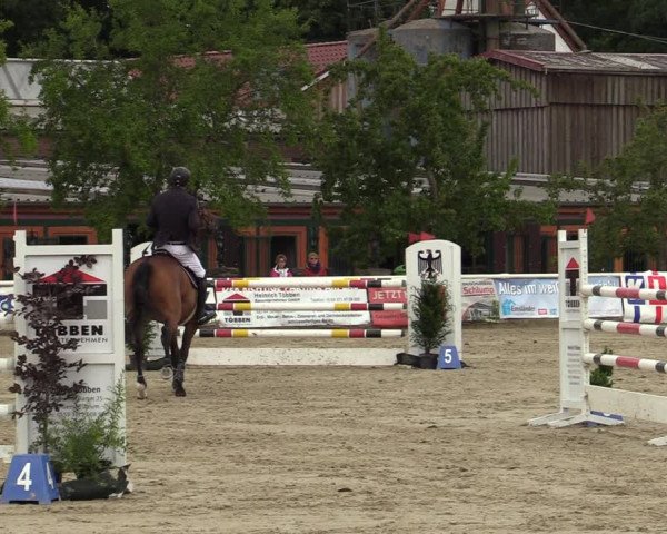 Reitturnier Haren-Raken 2022