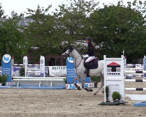 Reitturnier Haren-Raken 2022