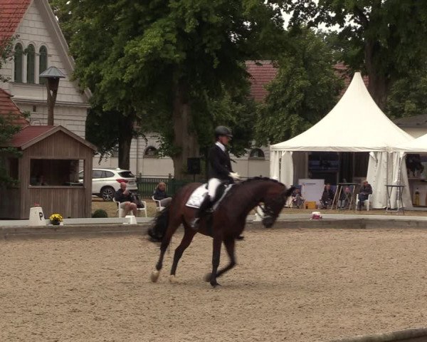Reitturnier Redefin 2022