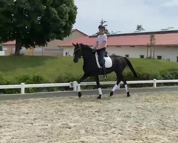 Video von Freya B