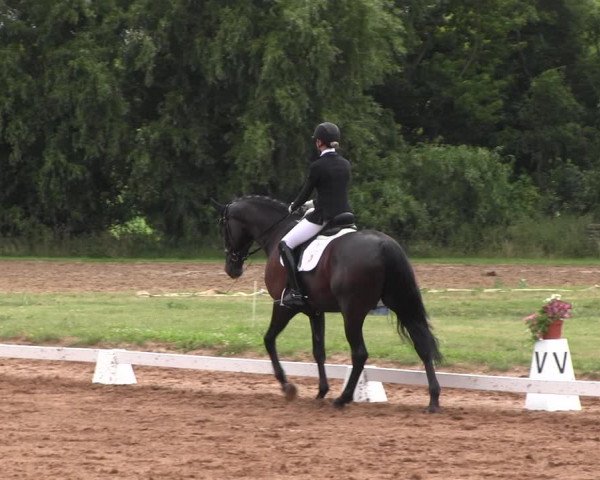 Reitturnier Prussendorf 2022