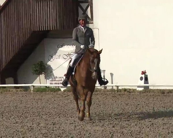 Reitturnier Hof-Haidt/Ofr. 2022