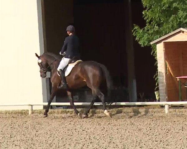 Reitturnier Hof-Haidt/Ofr. 2022