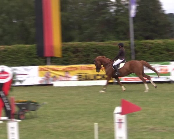 Reitturnier Moringen 2022