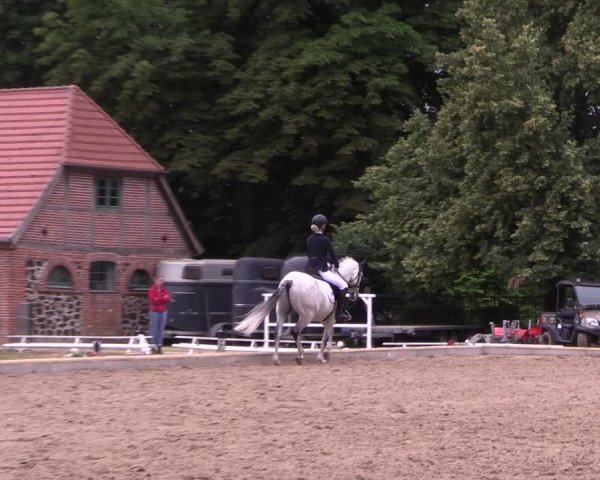 Reitturnier Redefin 2022