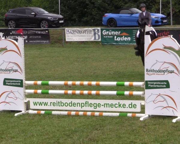 Reitturnier Moringen 2022