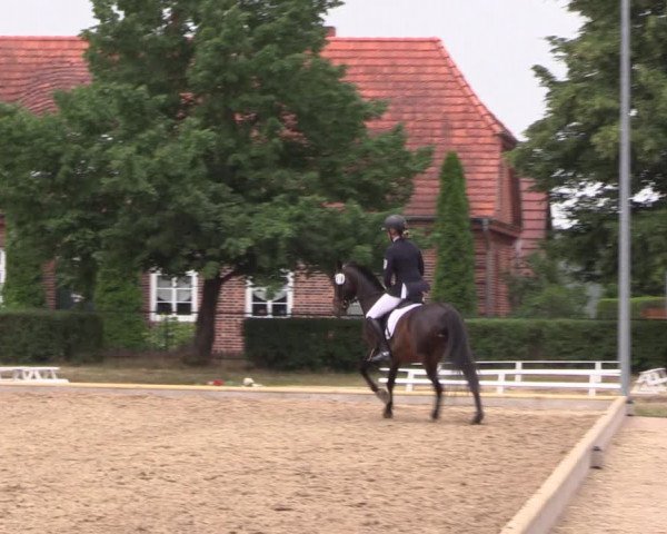 Reitturnier Redefin 2022