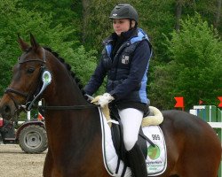 jumper Roxette 144 (Westphalian, 2007, from Rock Forever NRW)