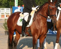 broodmare Fannie Mae (Westphalian, 2002, from Florestan I)