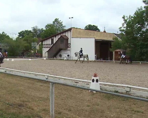 Reitturnier Hof-Haidt/Ofr. 2022