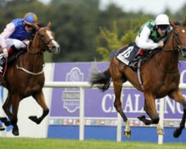 broodmare You'll Be Mine xx (Thoroughbred, 2007, from Kingmambo xx)
