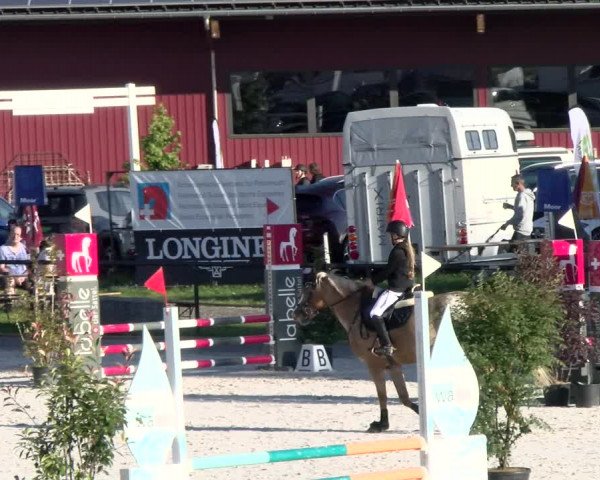 Reitturnier Gossau (Stall Sommersweid) 2022