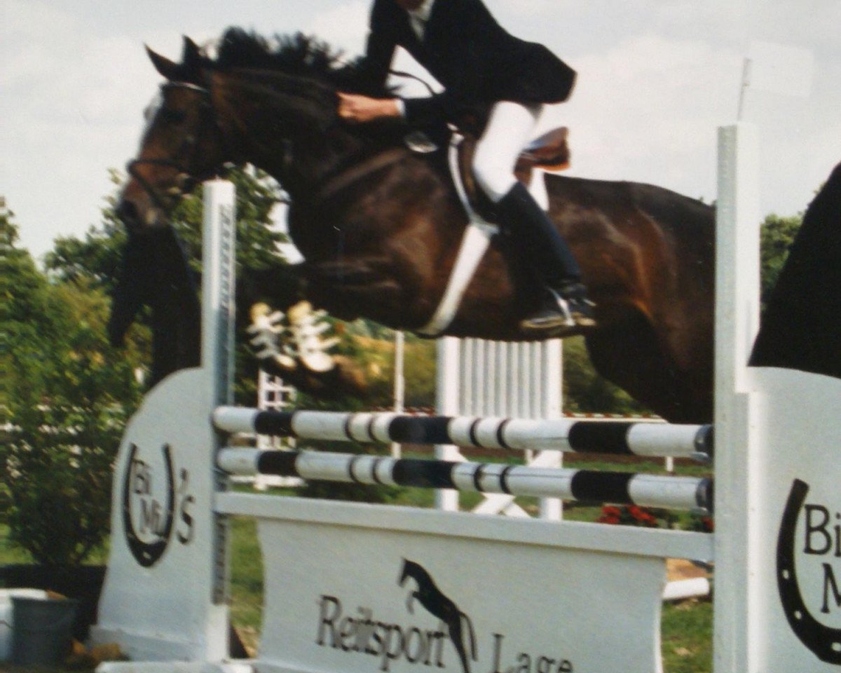 Broodmare Gladdice (Westphalian, 1987, from Graf Spee)
