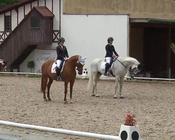 Reitturnier Hof-Haidt/Ofr. 2022