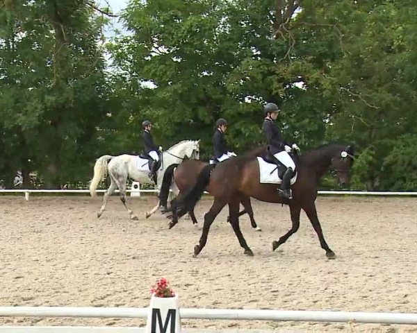 Reitturnier Hof-Haidt/Ofr. 2022