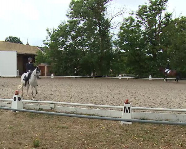 Reitturnier Hof-Haidt/Ofr. 2022