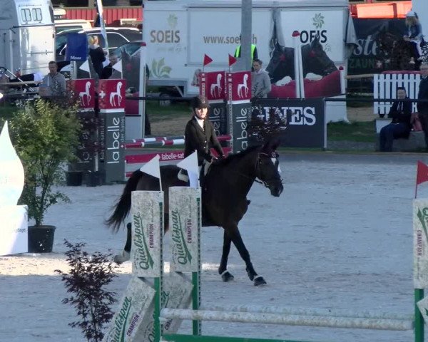 Reitturnier Gossau (Stall Sommersweid) 2022