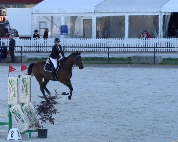 Reitturnier Gossau (Stall Sommersweid) 2022