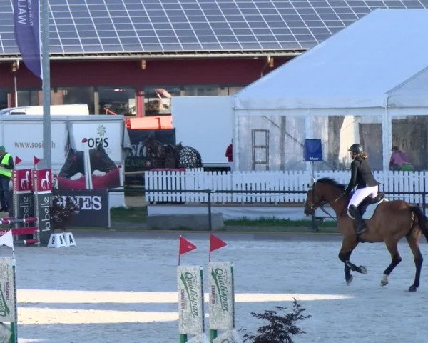 Reitturnier Gossau (Stall Sommersweid) 2022