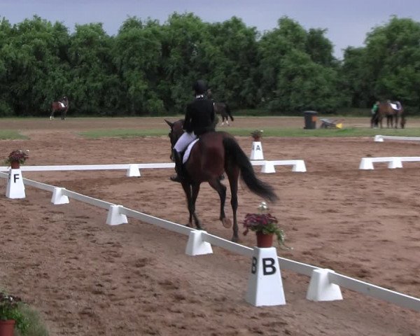 Reitturnier Prussendorf 2022