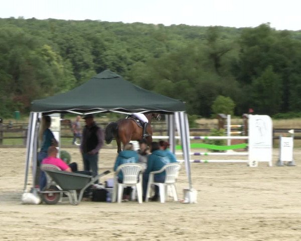 Reitturnier Hemer-Oese an der Edelburg 2022