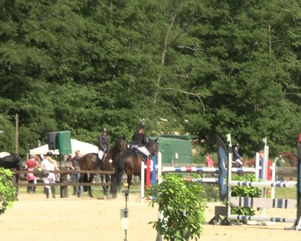 Reitturnier Hemer-Oese an der Edelburg 2022