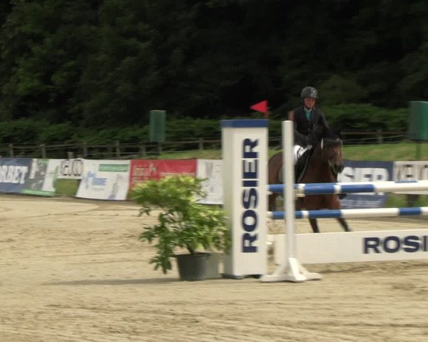 Reitturnier Hemer-Oese an der Edelburg 2022