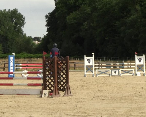 Reitturnier Hemer-Oese an der Edelburg 2022