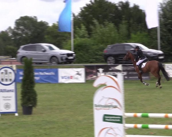 Reitturnier Moringen 2022