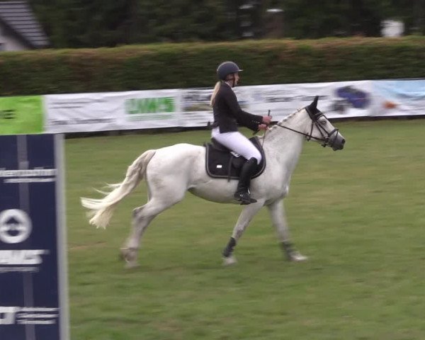 Reitturnier Moringen 2022