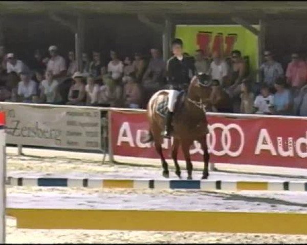 Springpferd Unesco 33 (KWPN (Niederländisches Warmblut), 2001, von Kojak)