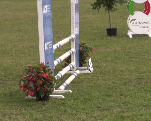 Reitturnier Moringen 2022