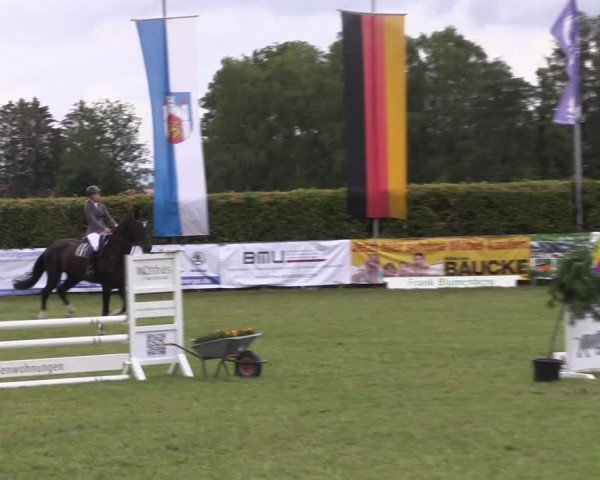 Reitturnier Moringen 2022