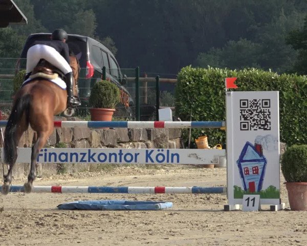 Reitturnier Lindlar-Süttenbach 2022