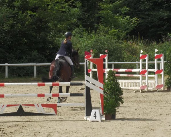 Reitturnier Hünfelden-Kirberg 2022