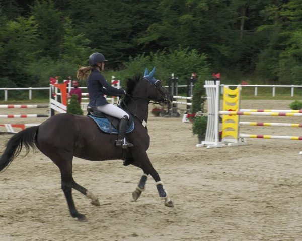Reitturnier Hünfelden-Kirberg 2022