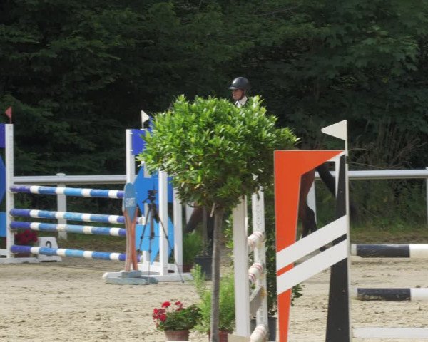 Reitturnier Hünfelden-Kirberg 2022