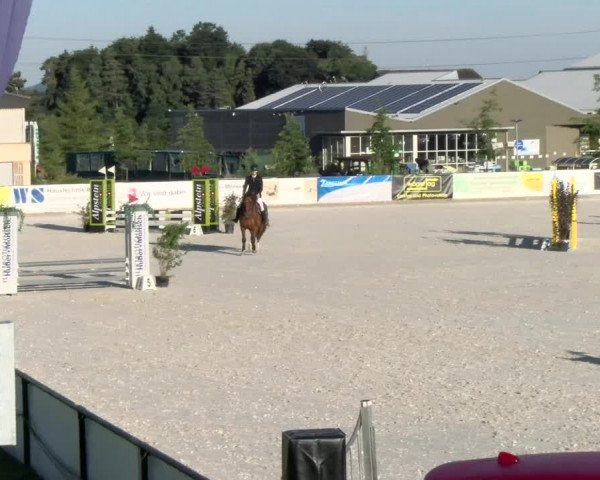 Reitturnier Gossau (Stall Sommersweid) 2022