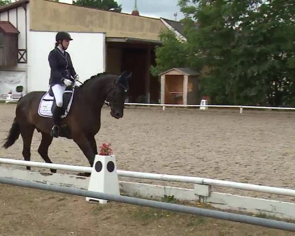 Reitturnier Hof-Haidt/Ofr. 2022