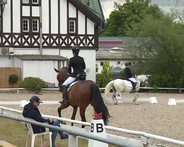Reitturnier Hof-Haidt/Ofr. 2022