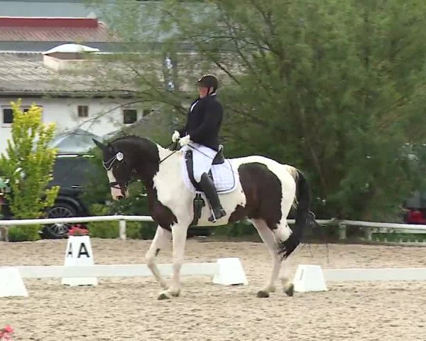 Reitturnier Hof-Haidt/Ofr. 2022