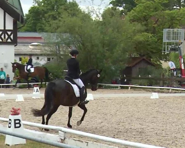 Reitturnier Hof-Haidt/Ofr. 2022
