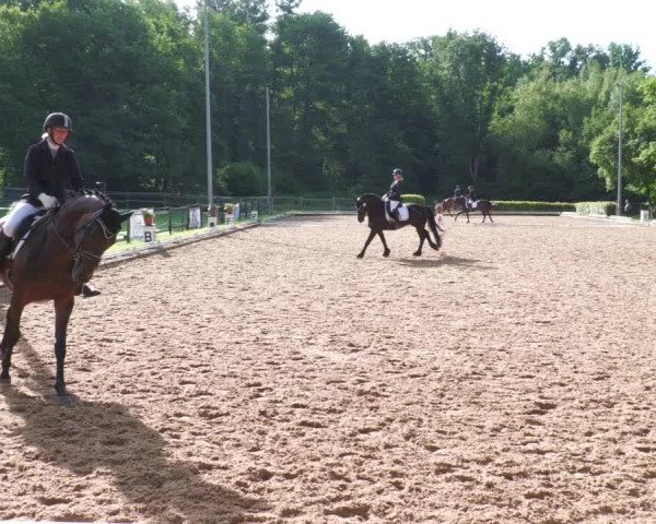 Reitturnier Nürtingen 2022