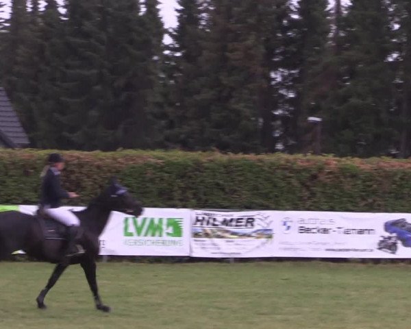 Reitturnier Moringen 2022