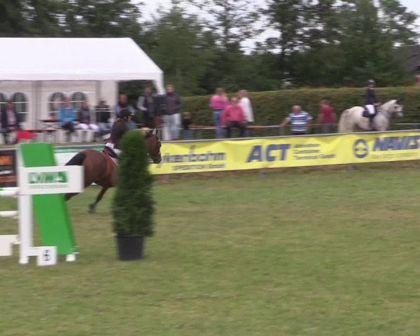 Reitturnier Moringen 2022