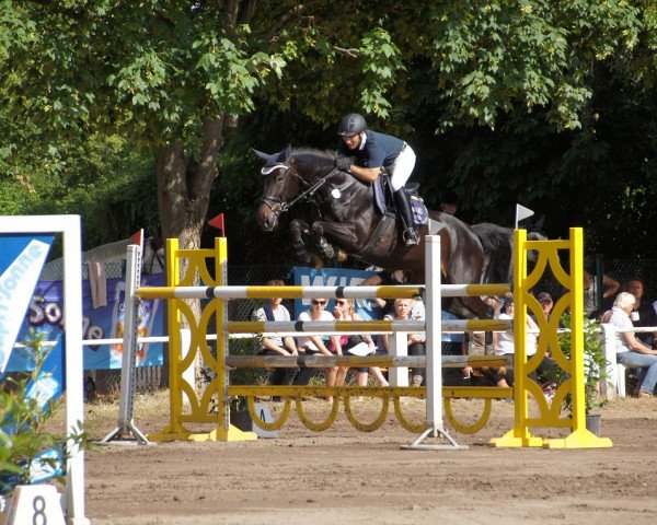 broodmare Coeur de l'Amour (Westphalian, 2003, from Collin L)