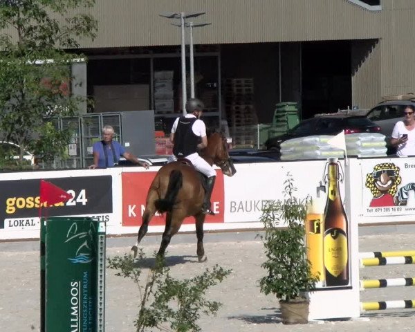 Reitturnier Gossau (Stall Sommersweid) 2022