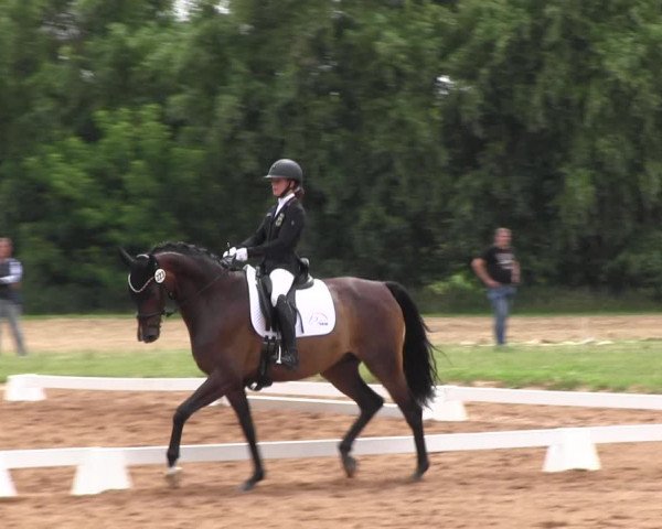 Reitturnier Prussendorf 2022