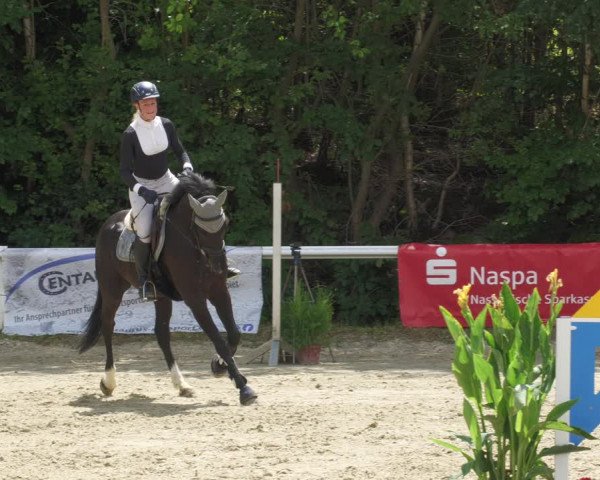 Reitturnier Hünfelden-Kirberg 2022